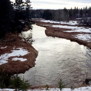 Mill River East