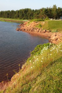 fi-We-Don't-do-Fancy-Much