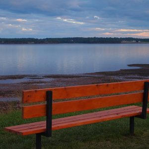 fi-A-Letter-to-my-children