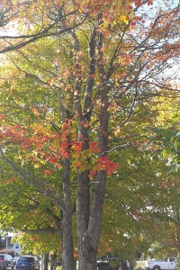 fi-A-Better-Question