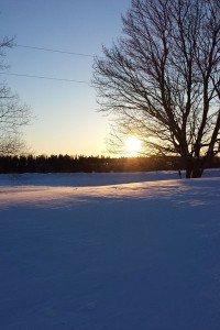 fi-Grace-That-is-Gratitude