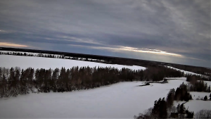 Drone picture